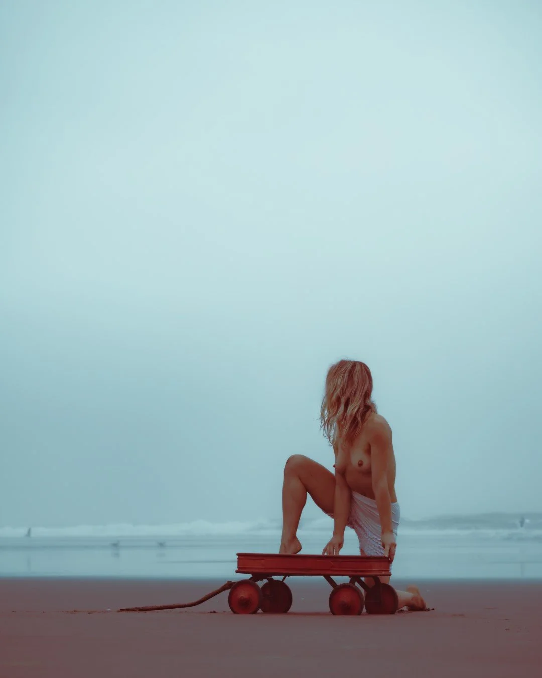 wagon-25 (Large).JPG