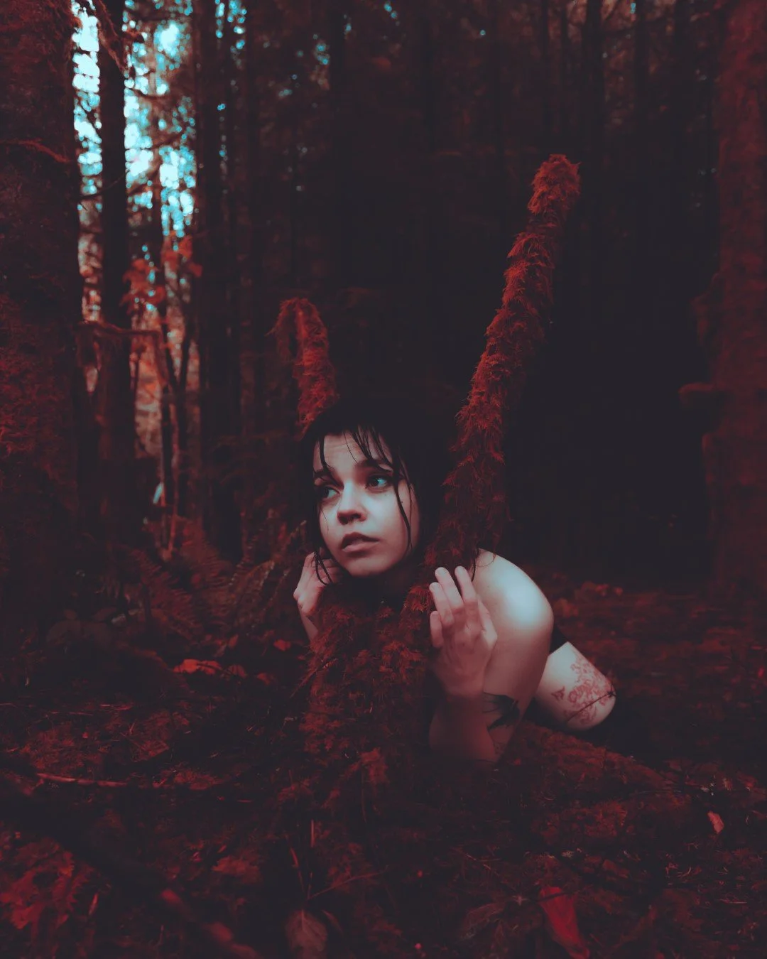 alexis tv-36 (Large).JPG