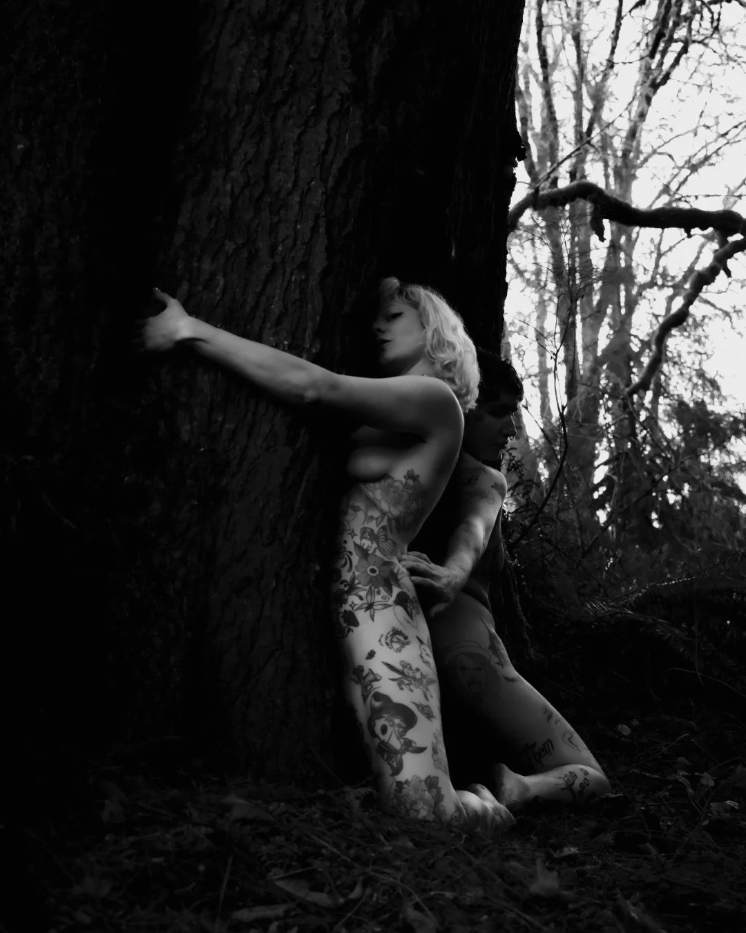 devil tree-10 (Large).JPG