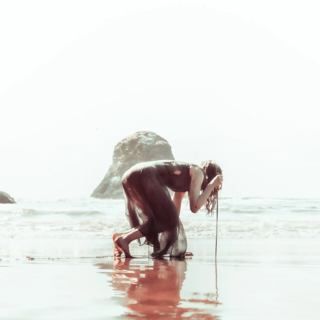 Squid beach-27 (Large).JPG