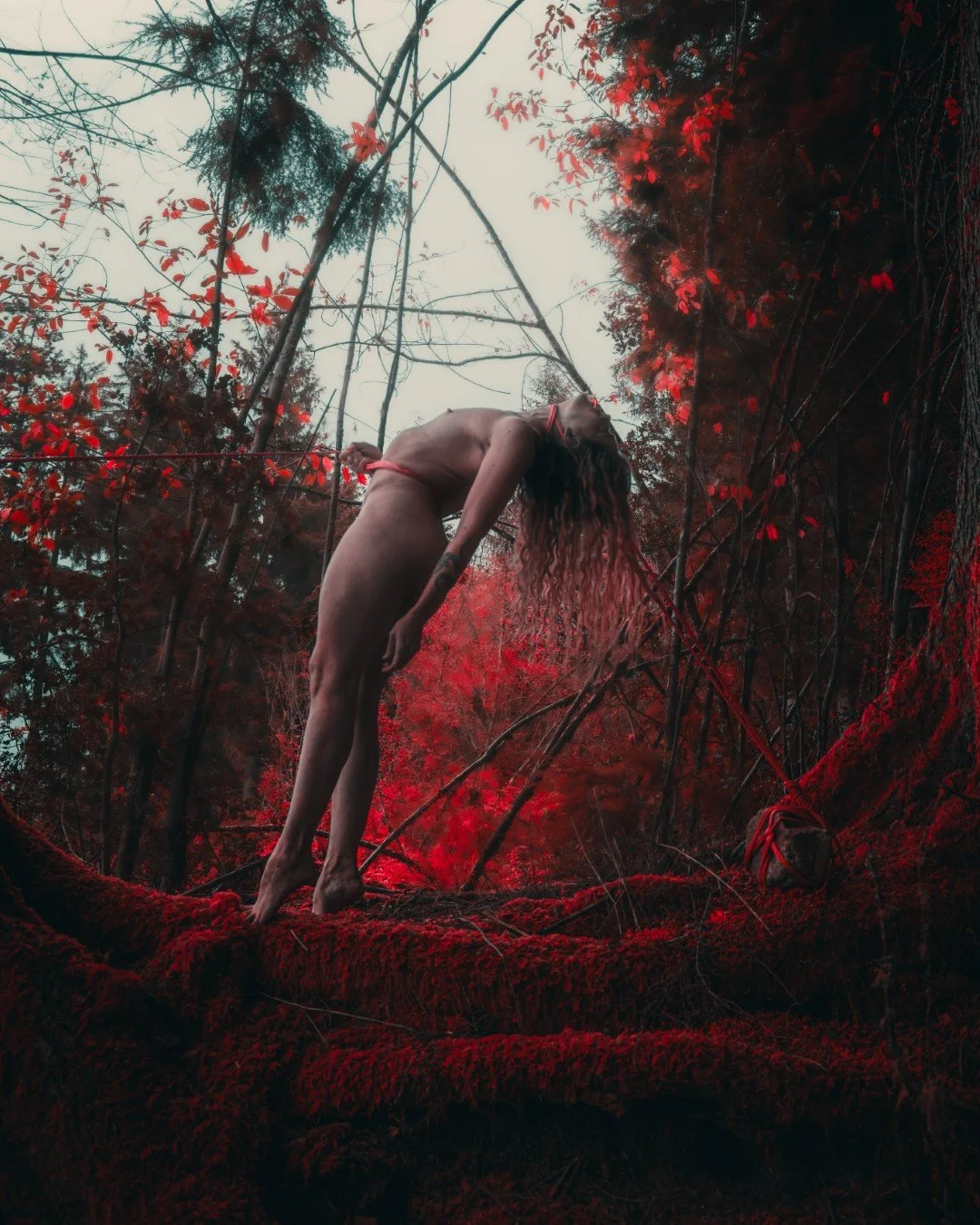 Burdened-44 (Large).JPG