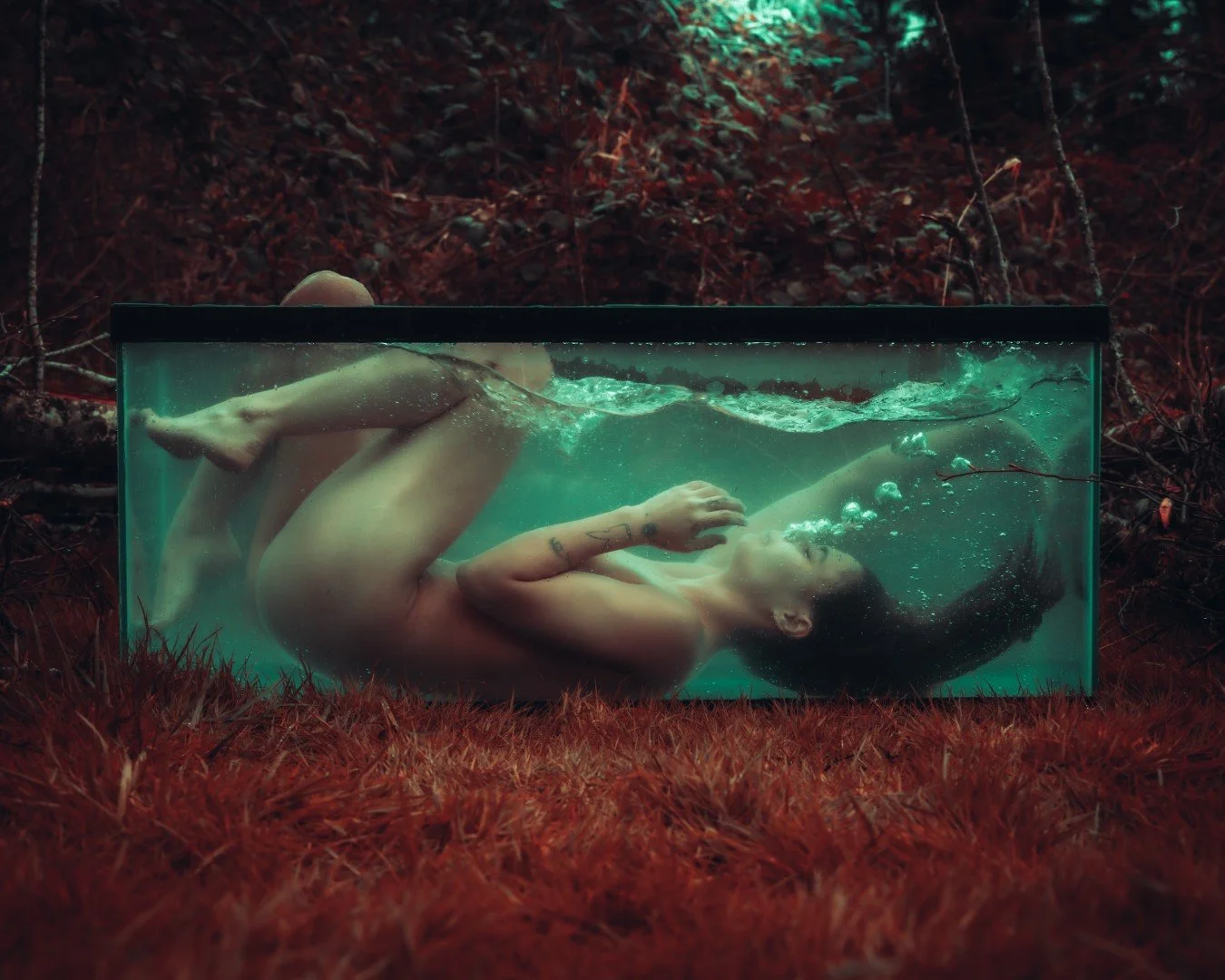 Shy Tank-66 (Large).JPG