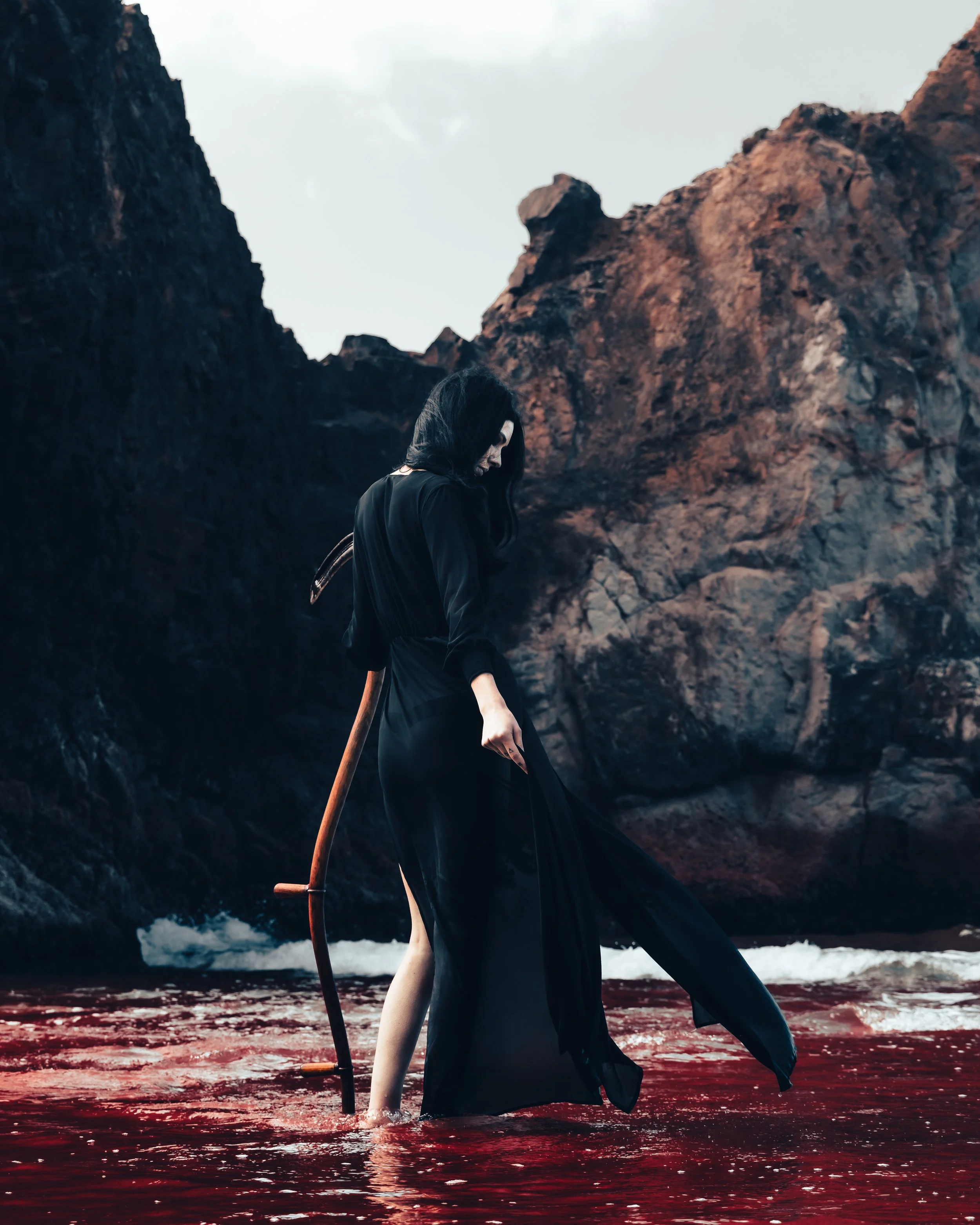 Rose Arcadia-8.JPG