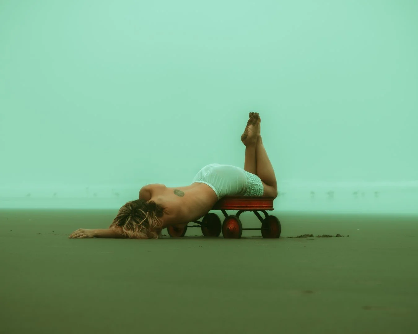 wagon-29 (Large).JPG