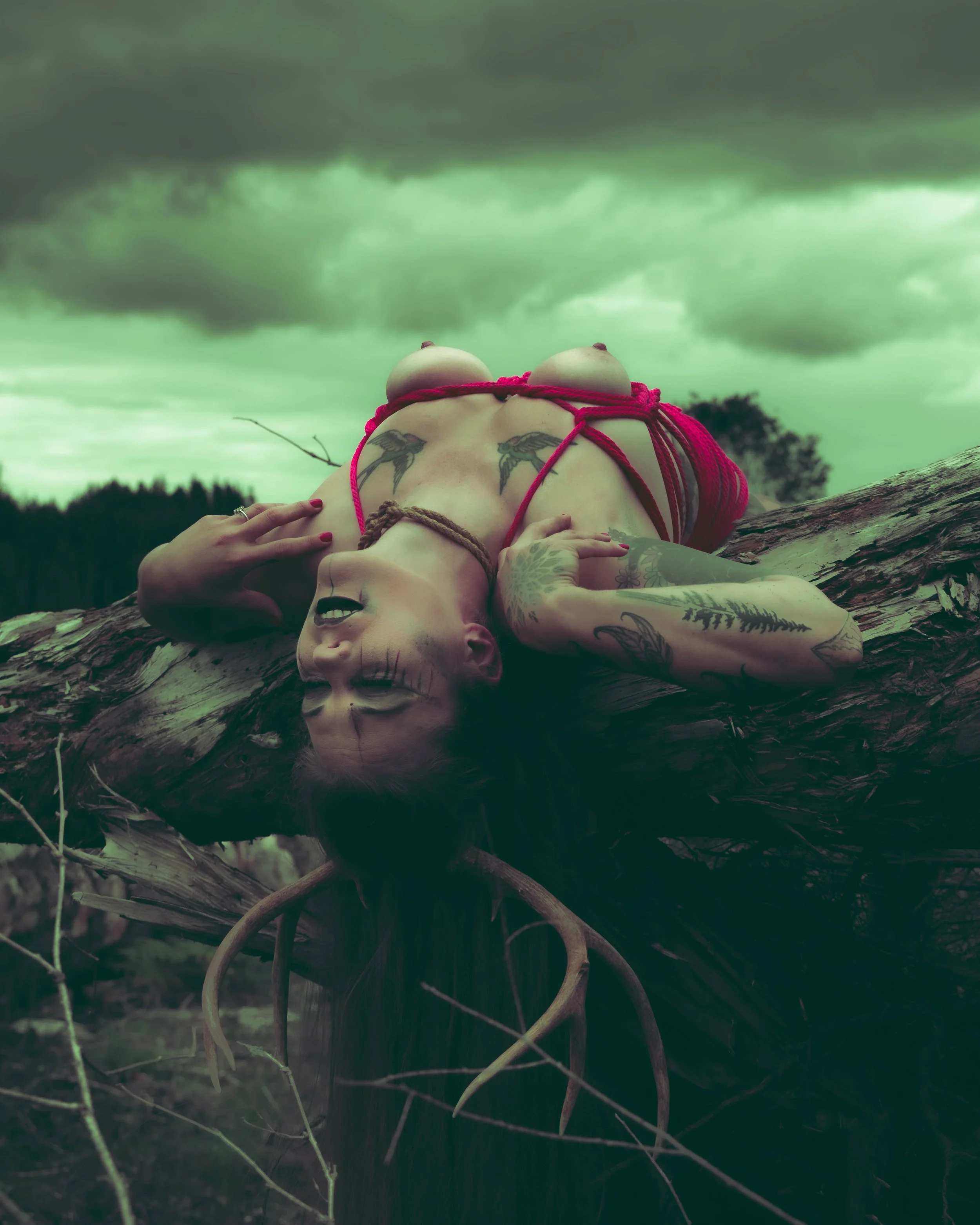 Kiera antlers-30.jpg