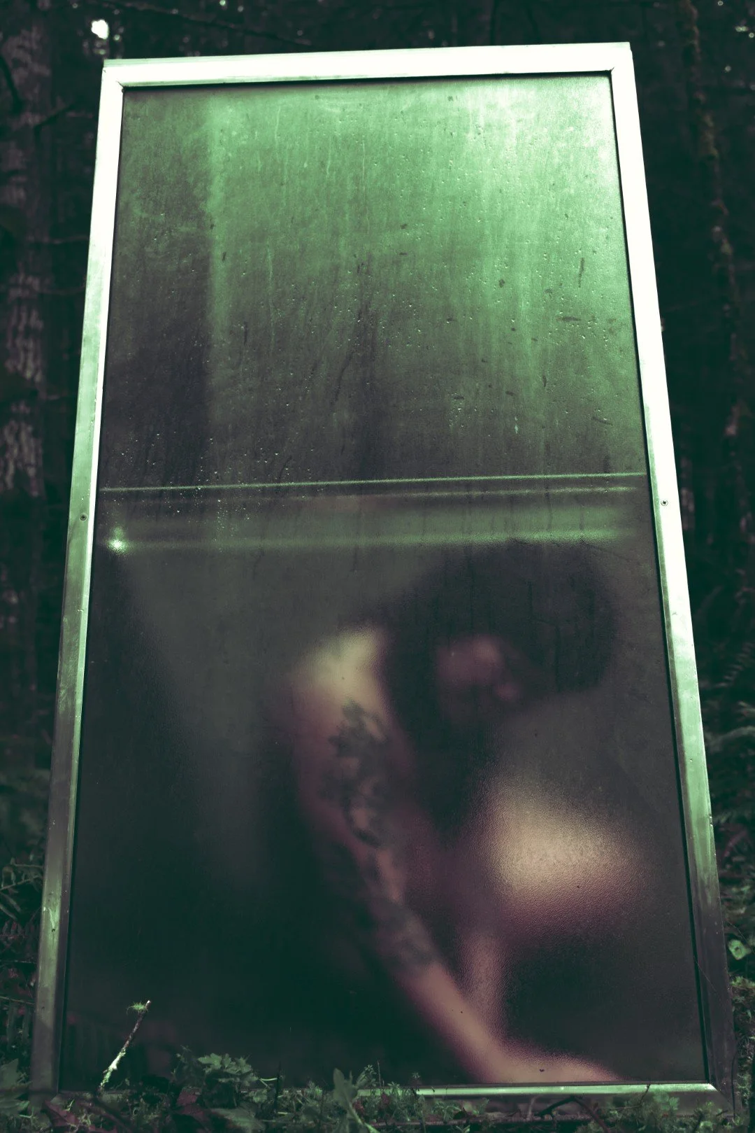 Forest Shower-48 (Large).JPG