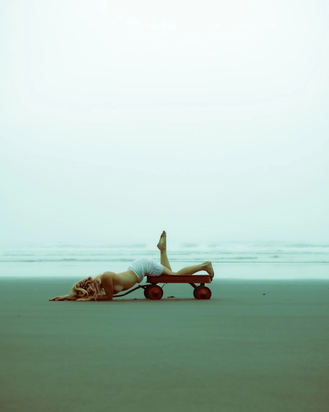 wagon-13 (Large).JPG