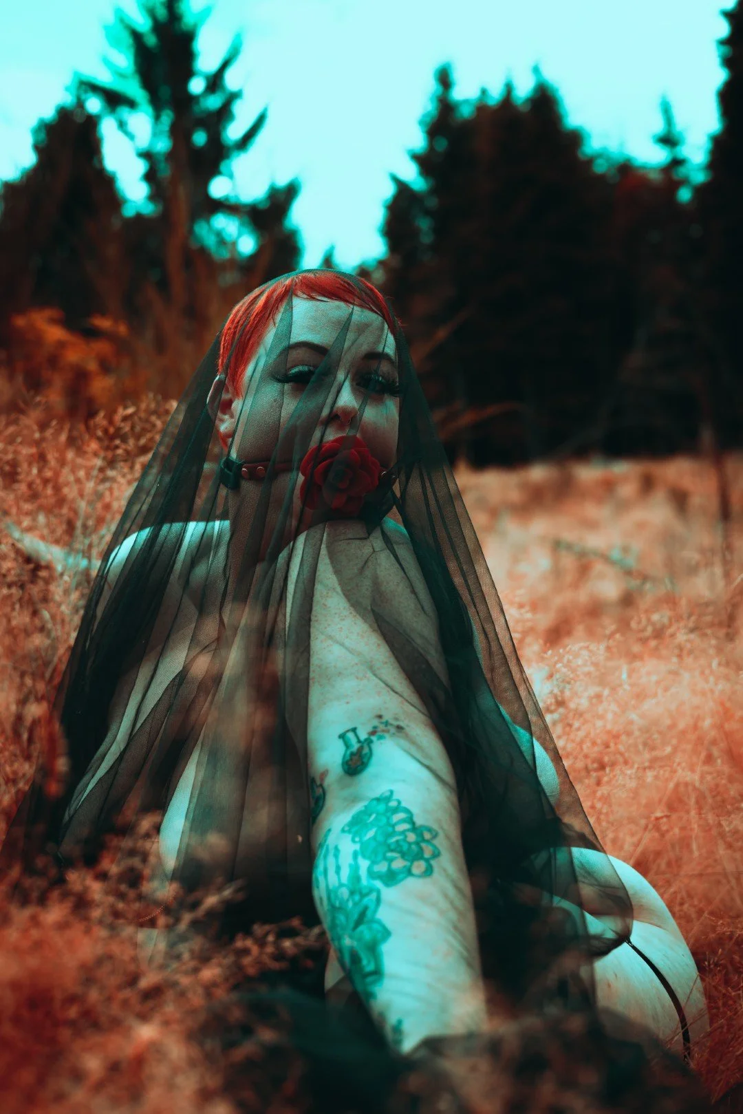 Kaylie-18 (Large).JPG