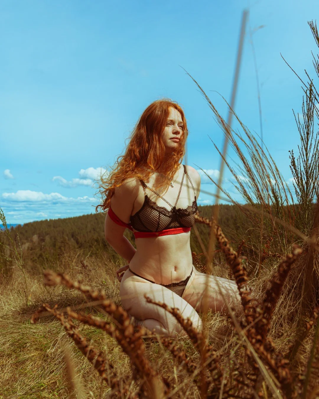 The execution-8 (Large).JPG