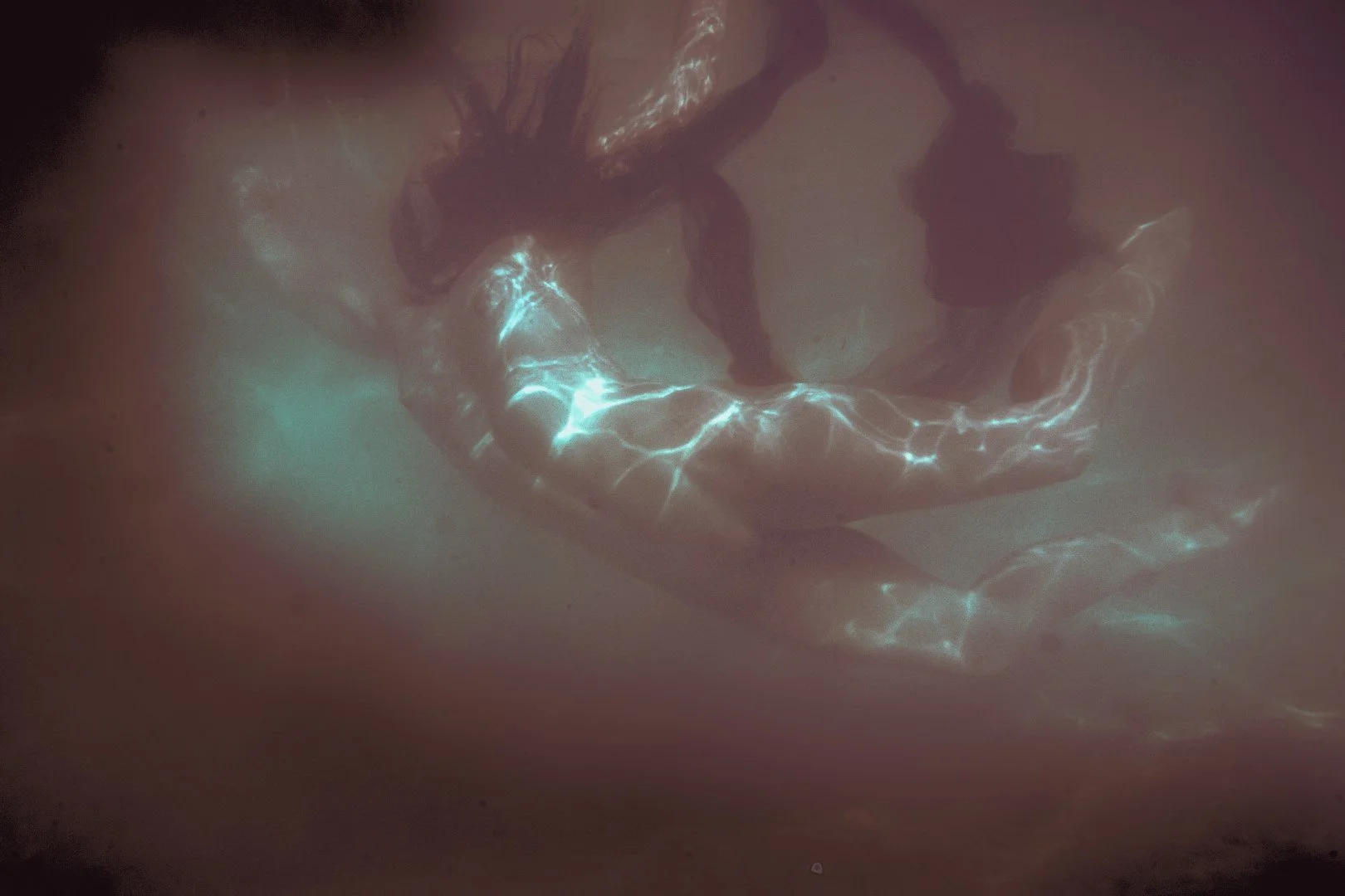 oct 3 pool-82 (Large).JPG