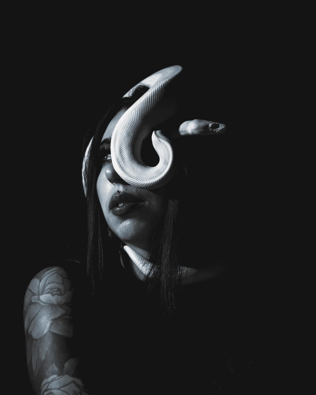 Nyx and Zuzu-25 (Large).JPG