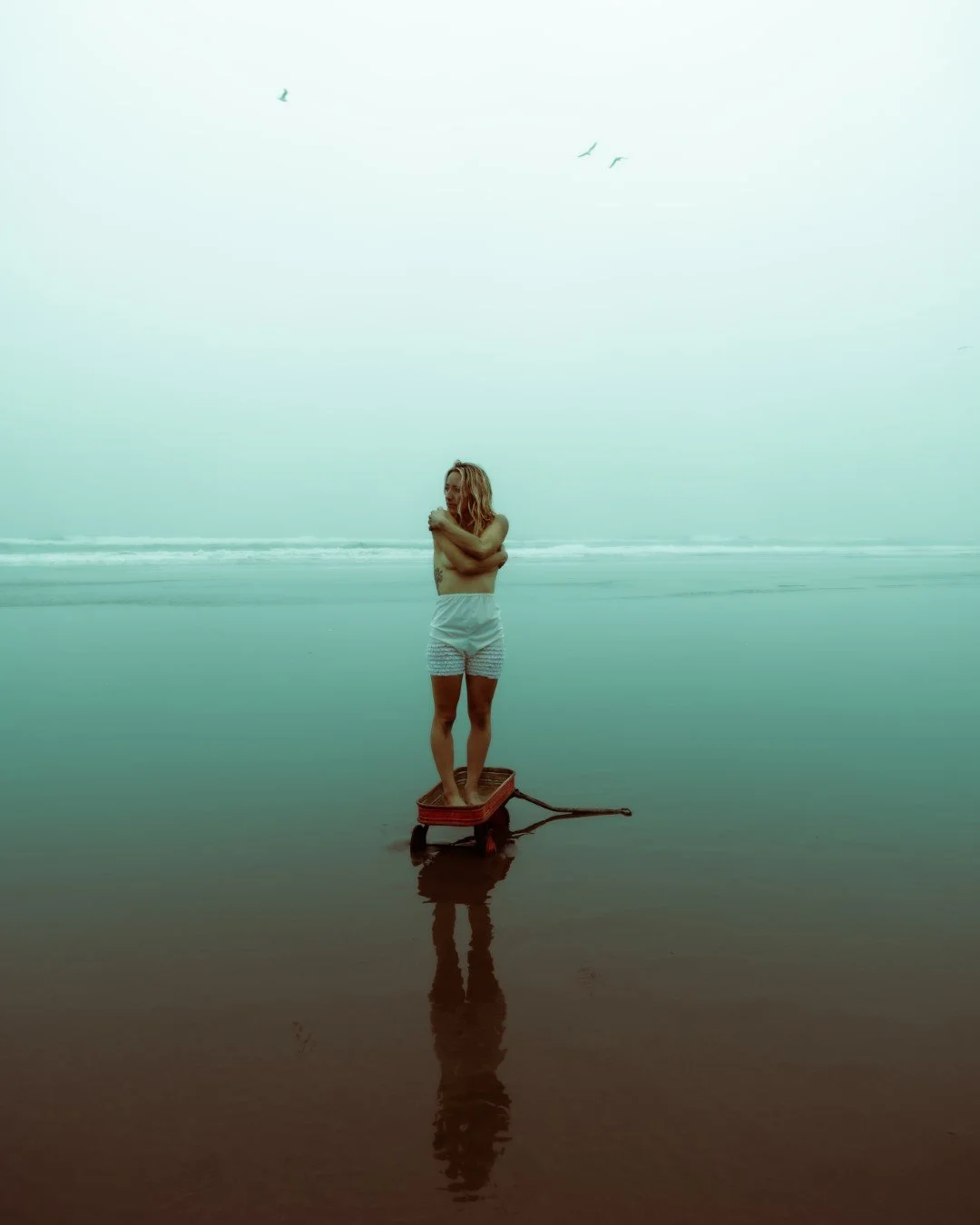 wagon-57 (Large).JPG