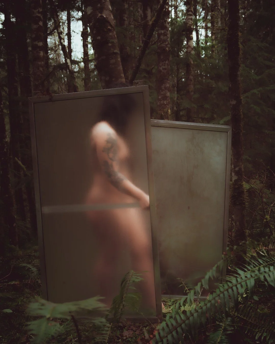 Forest Shower-61 (Large).JPG