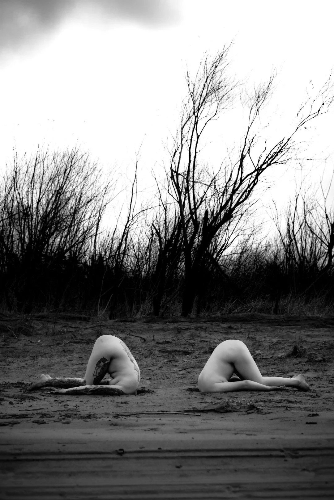 Rooster rock-74 (Large).JPG