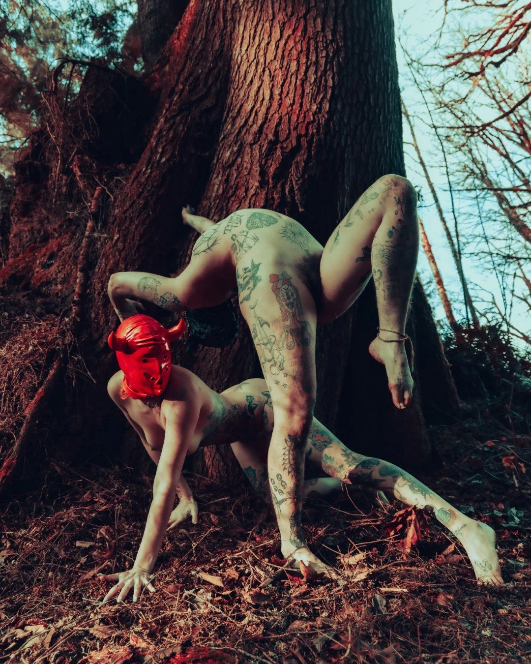 devil tree-27 (Large).JPG