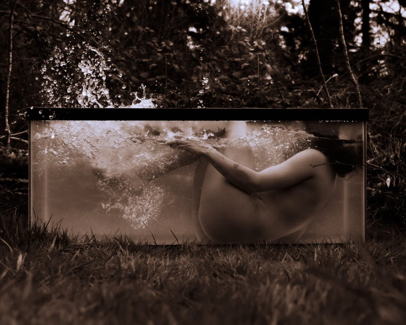 Shy Tank-60 (Large).JPG