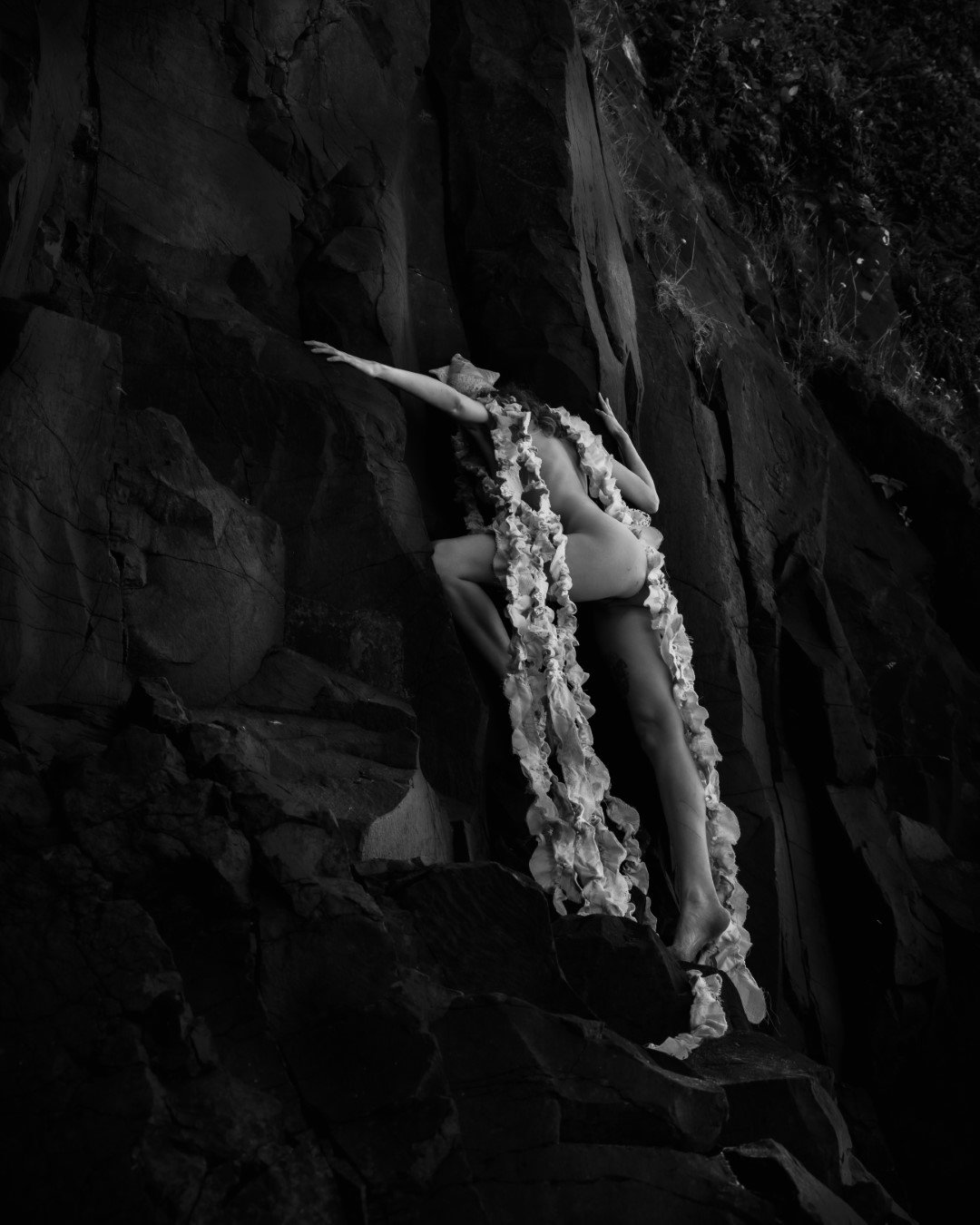 Squid beach-79 (Large).JPG