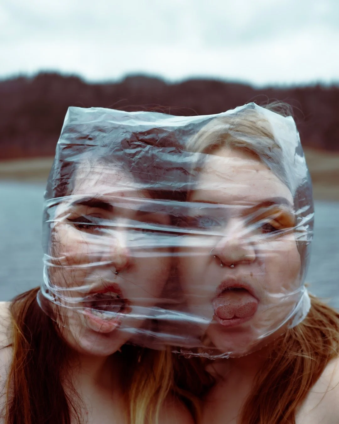 Rooster rock-49 (Large).JPG