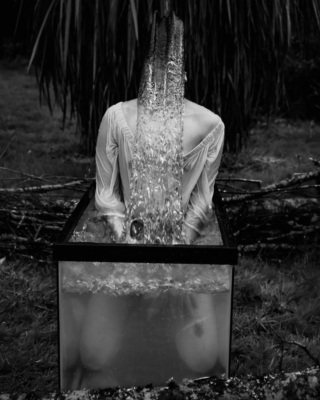 Shy Tank-5 (Large).JPG