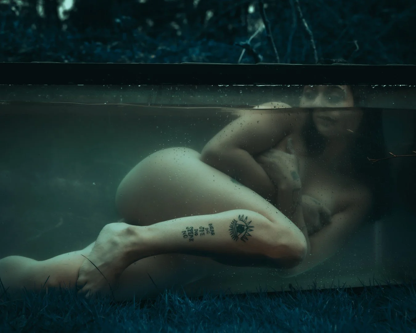 Shy Tank-57 (Large).JPG