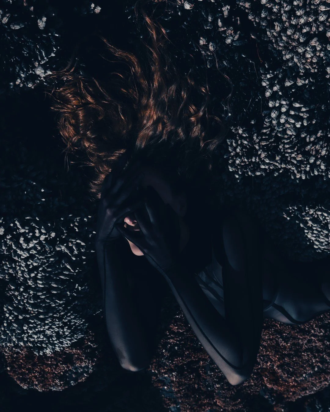 Squid beach-42 (Large).JPG