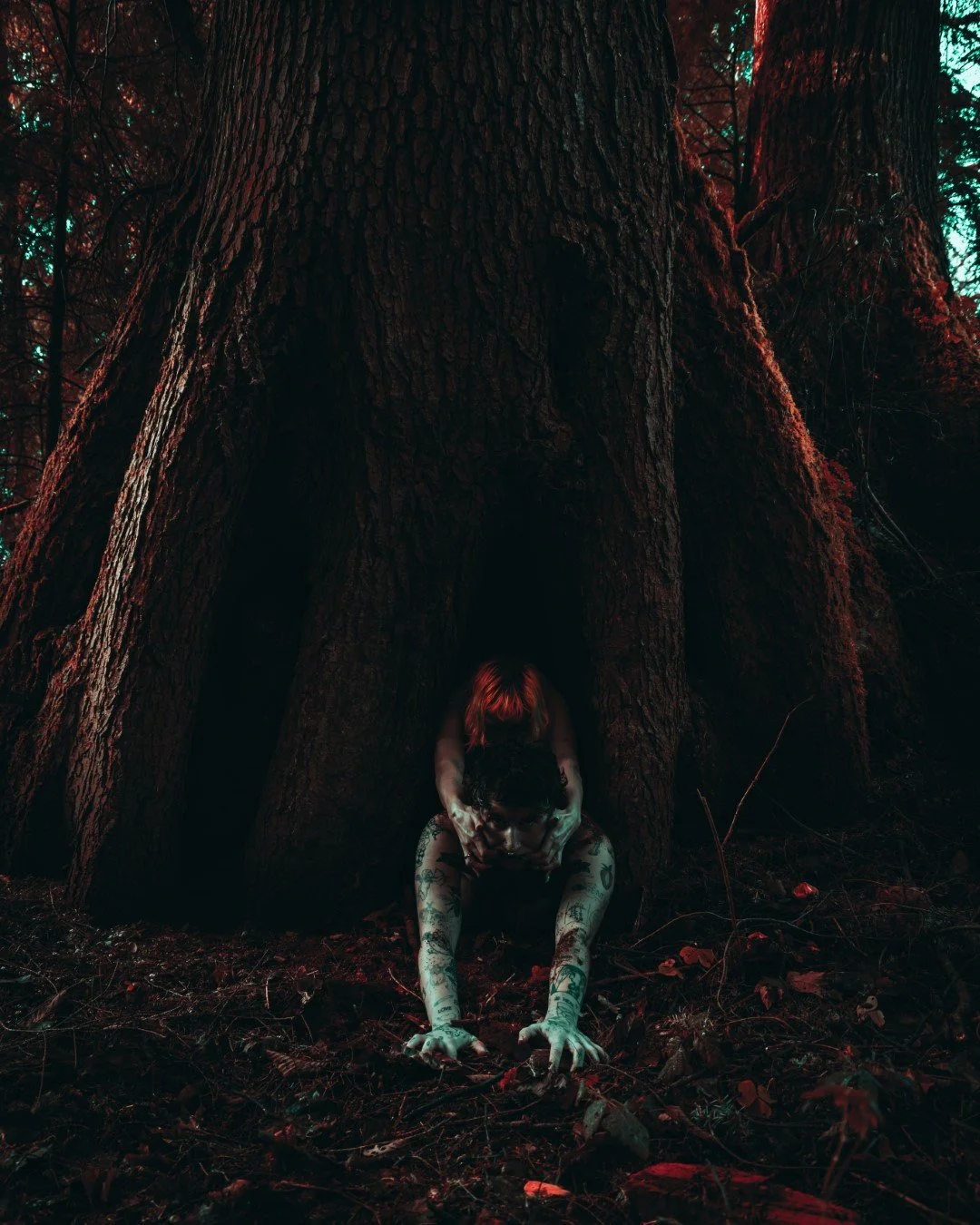 devil tree-15 (Large).JPG