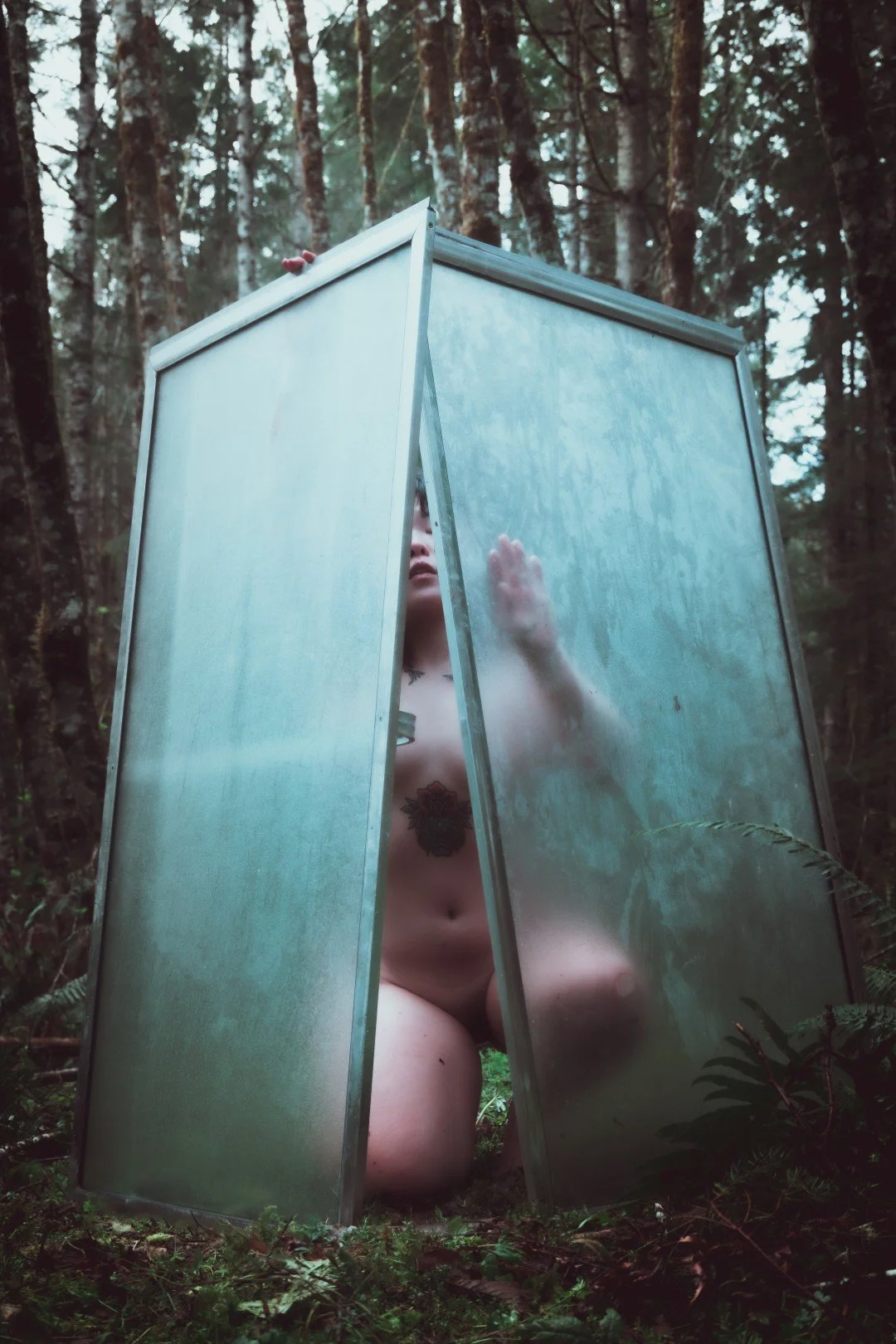 Forest Shower-54 (Large).JPG