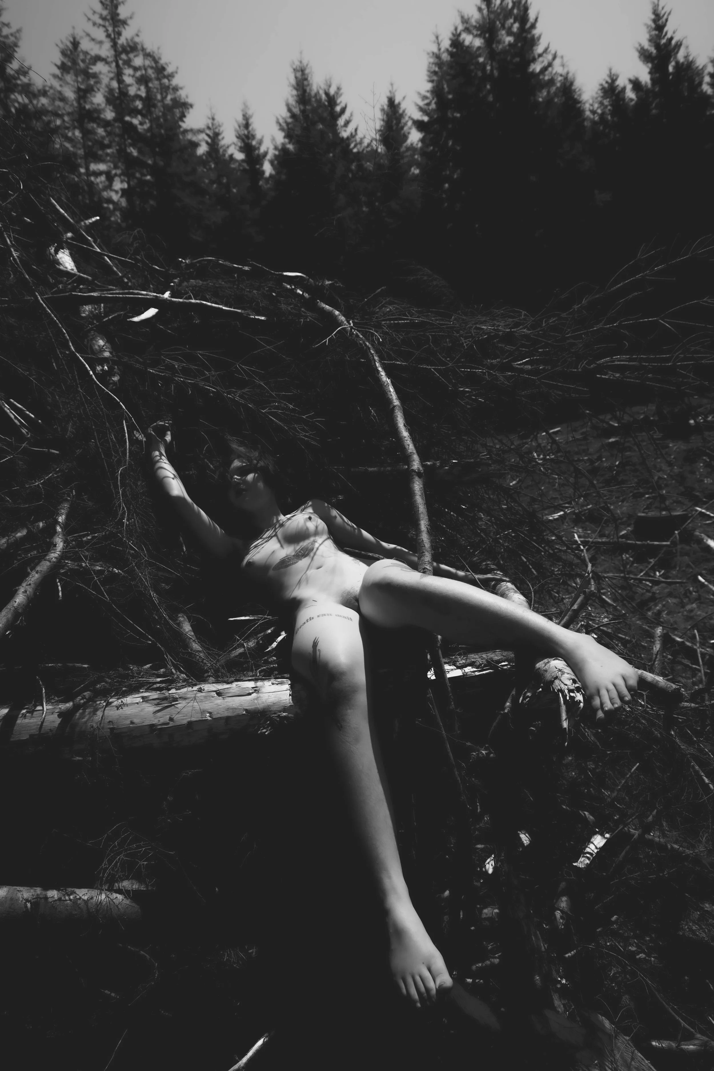 Barbedwire crown-29.jpg