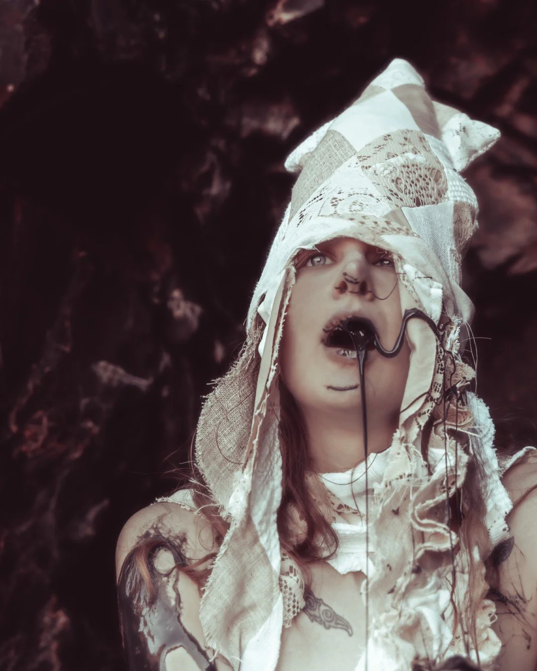 Squid beach-131 (Large).JPG