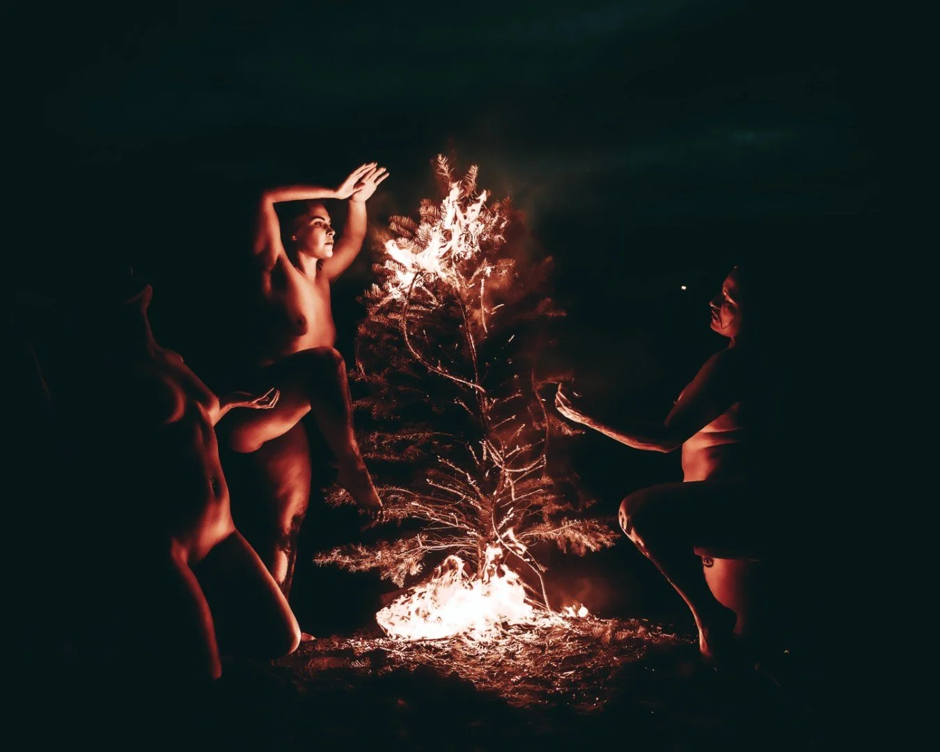 Beach Tree Fire-24 (Large).JPG