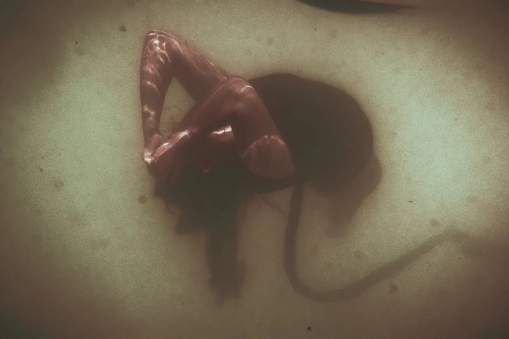 oct 3 pool-116 (Large).JPG