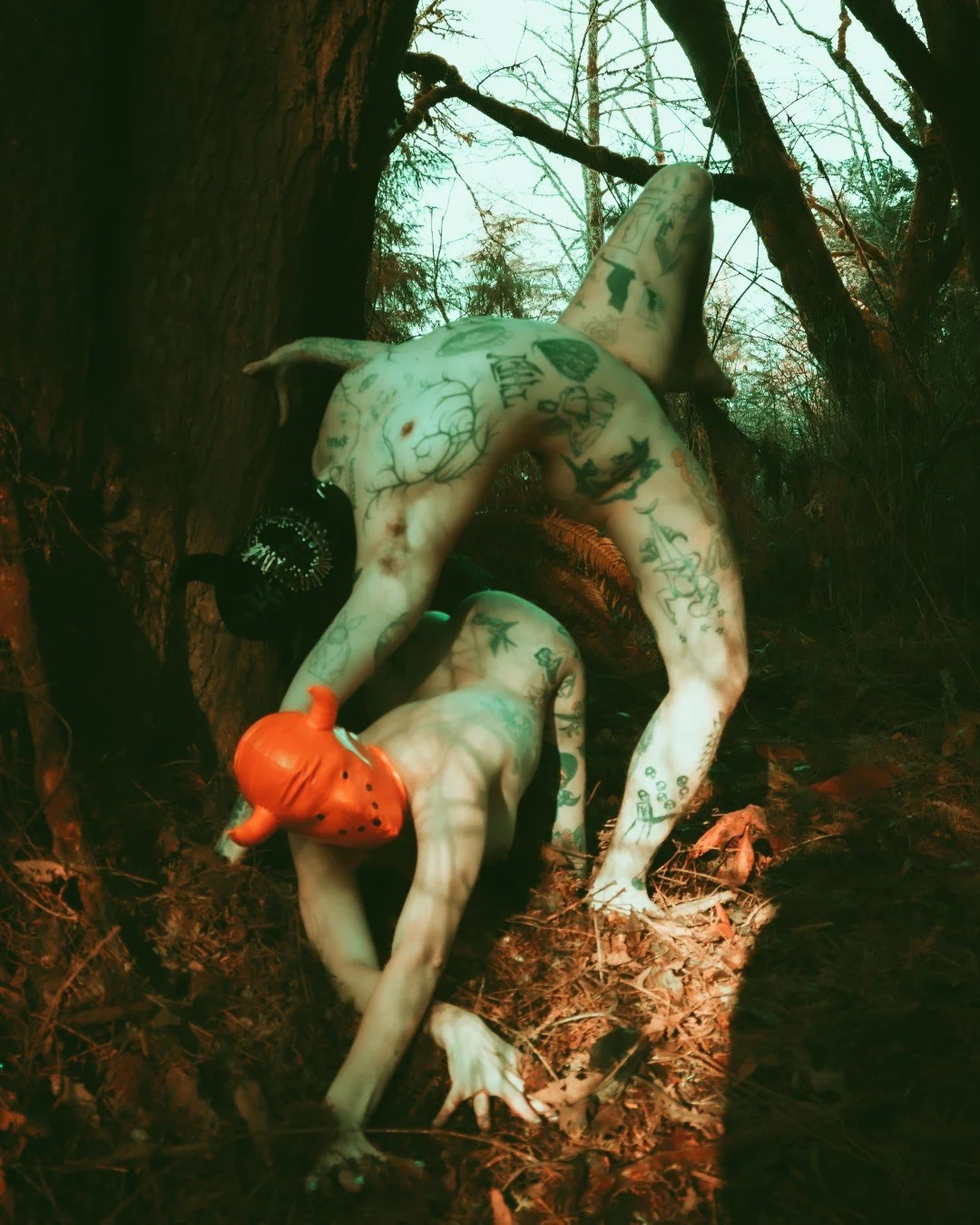 devil tree-28 (Large).JPG