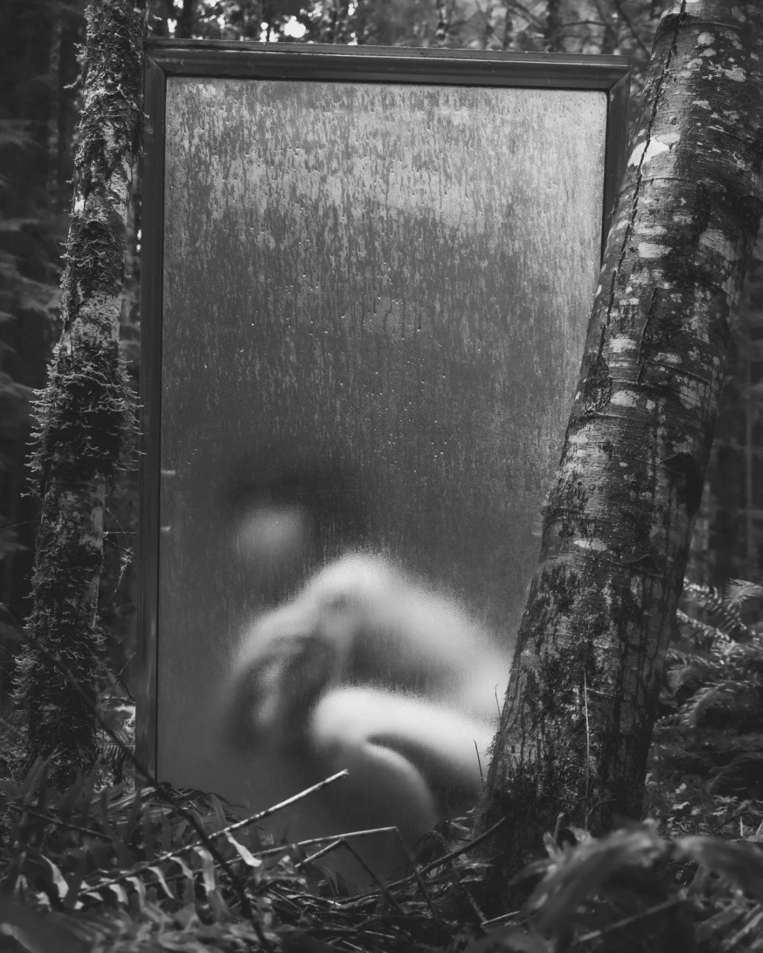 Forest Shower-5 (Large).JPG