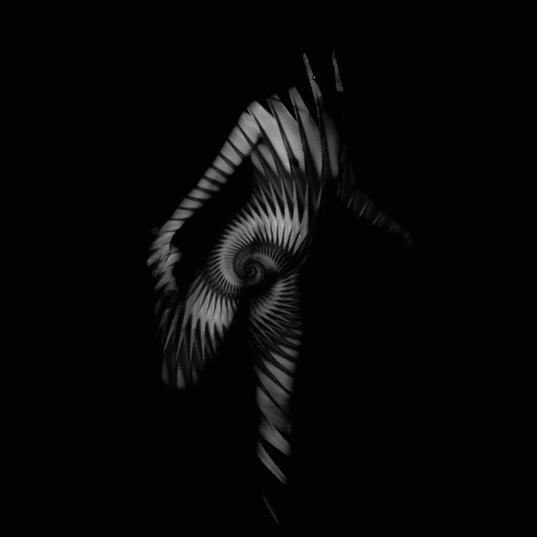 face swap-22 (Large).JPG