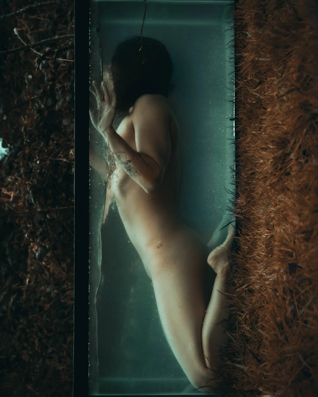 Shy Tank-67 (Large).JPG