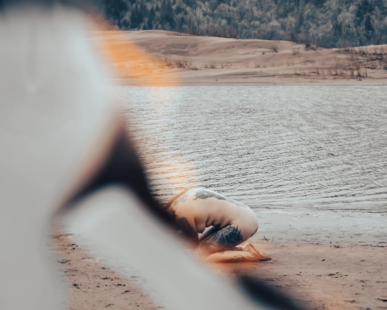 Rooster rock-22 (Large).JPG