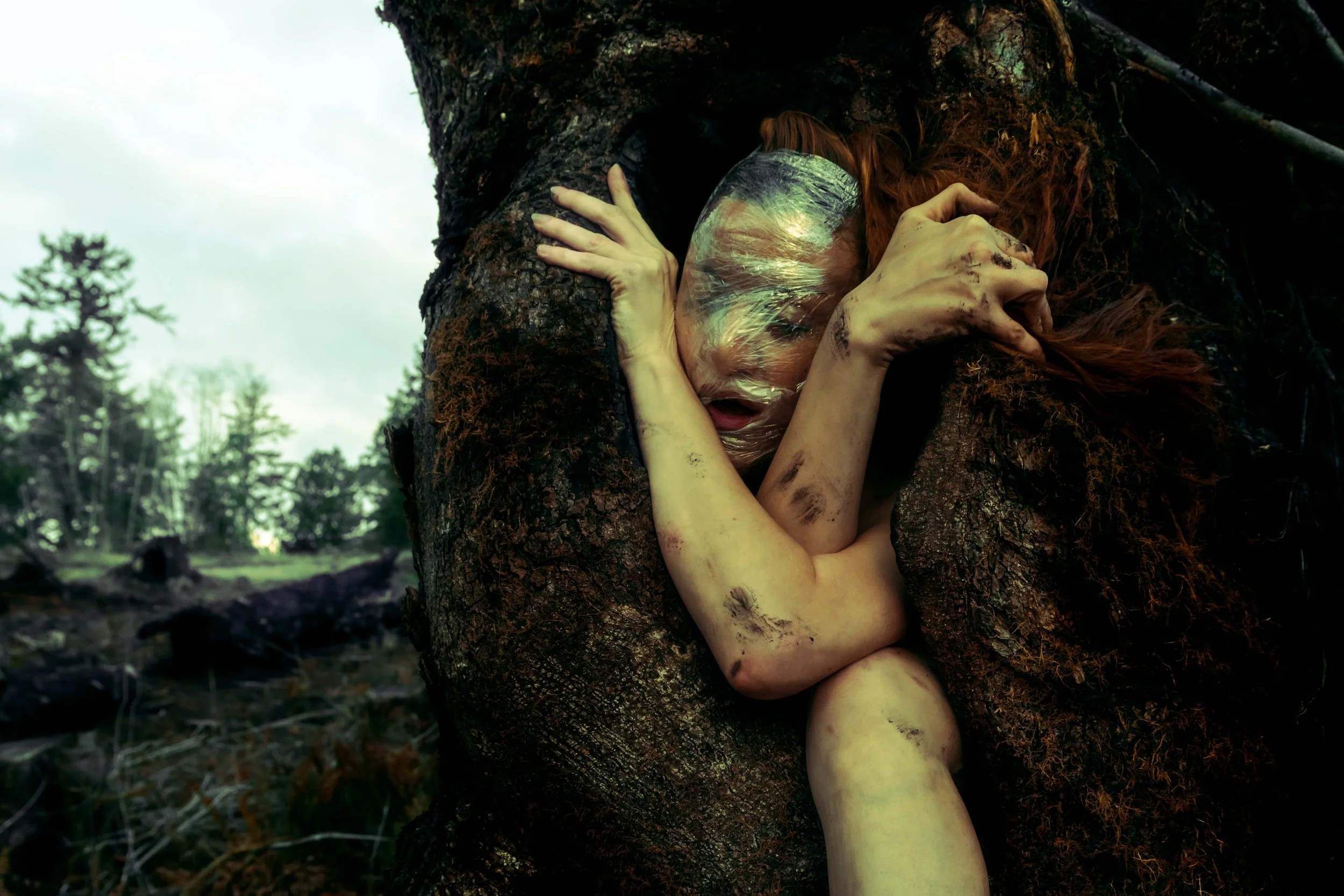 Saran Wrap Tree-13.jpg