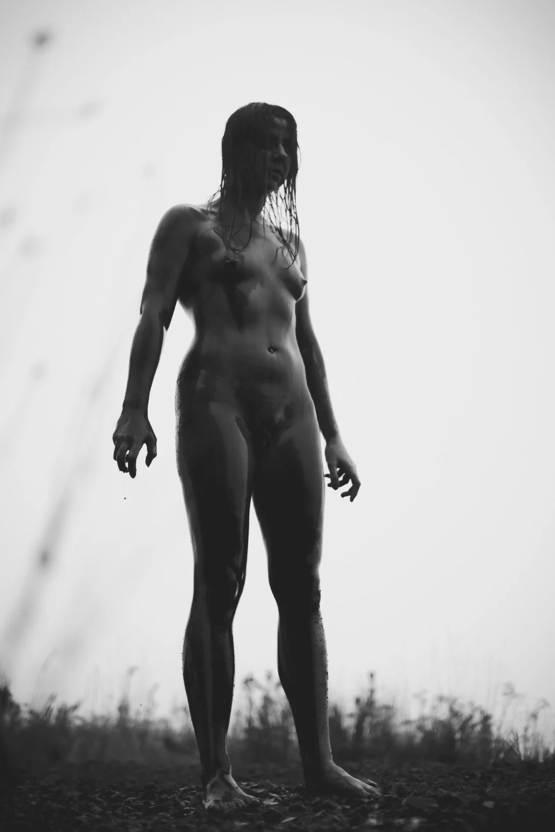 Zander wasp -62 (Large).JPG