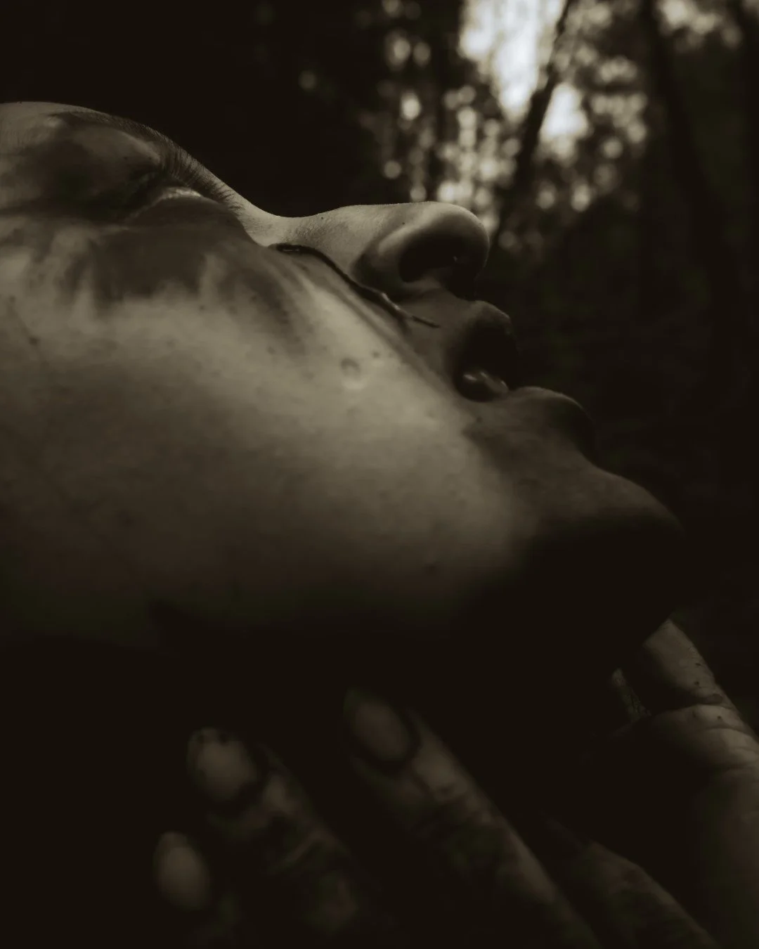 Charred -26 (Large).JPG