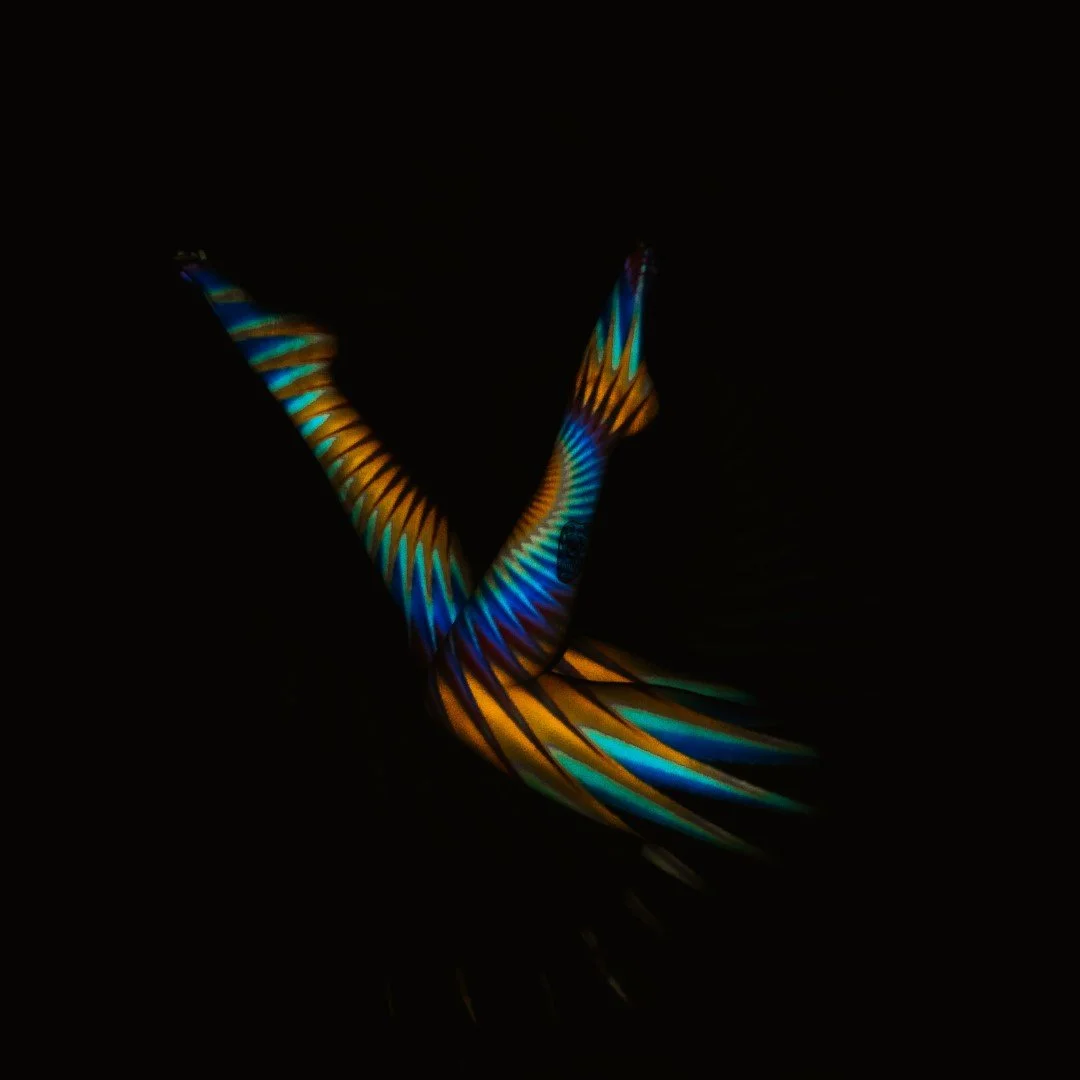 face swap-26 (Large).JPG