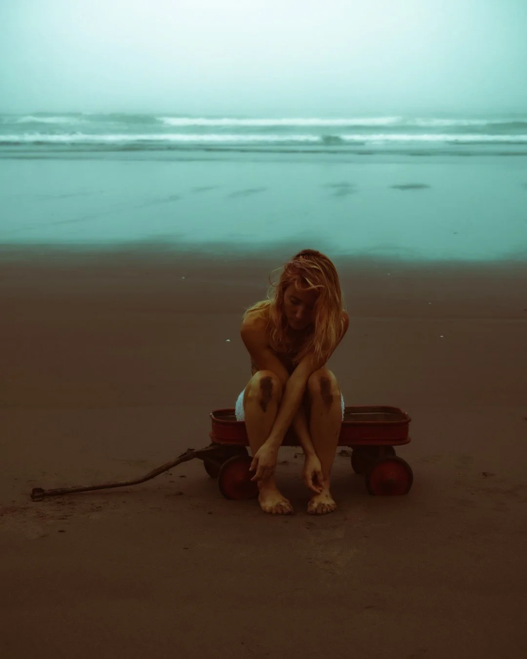 wagon-37 (Large).JPG