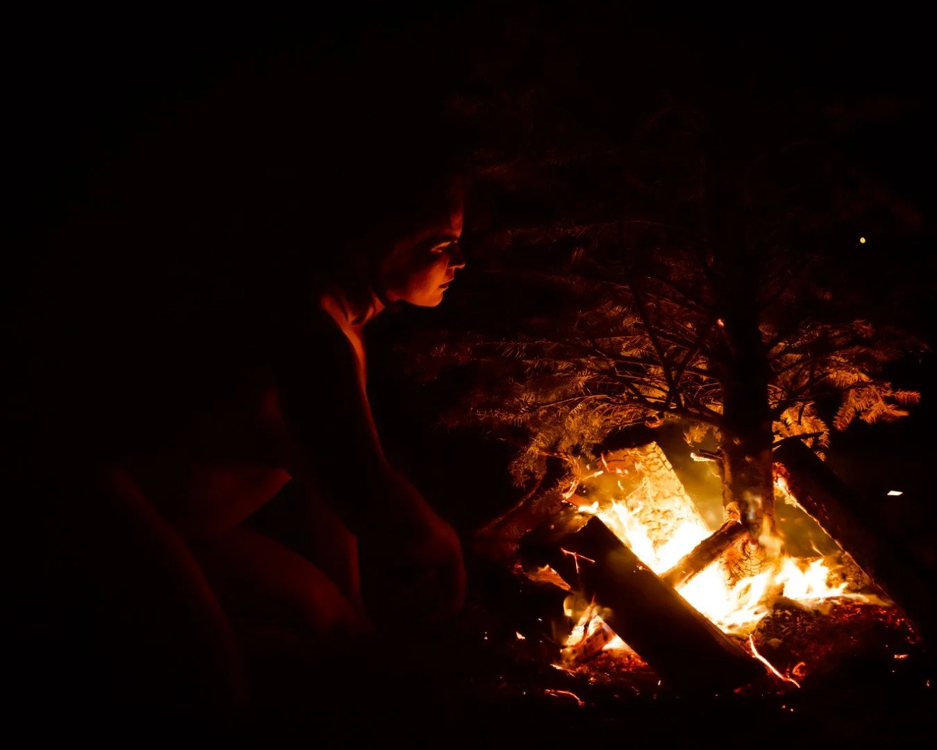 Beach Tree Fire-47 (Large).JPG