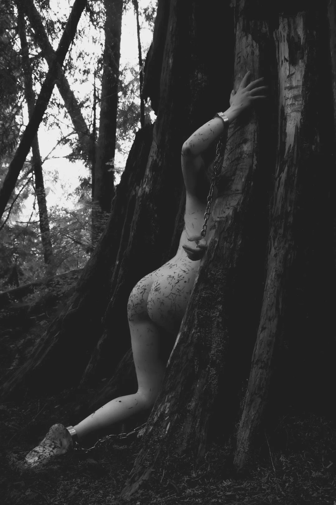 Cyan in chains-46 (Large).JPG