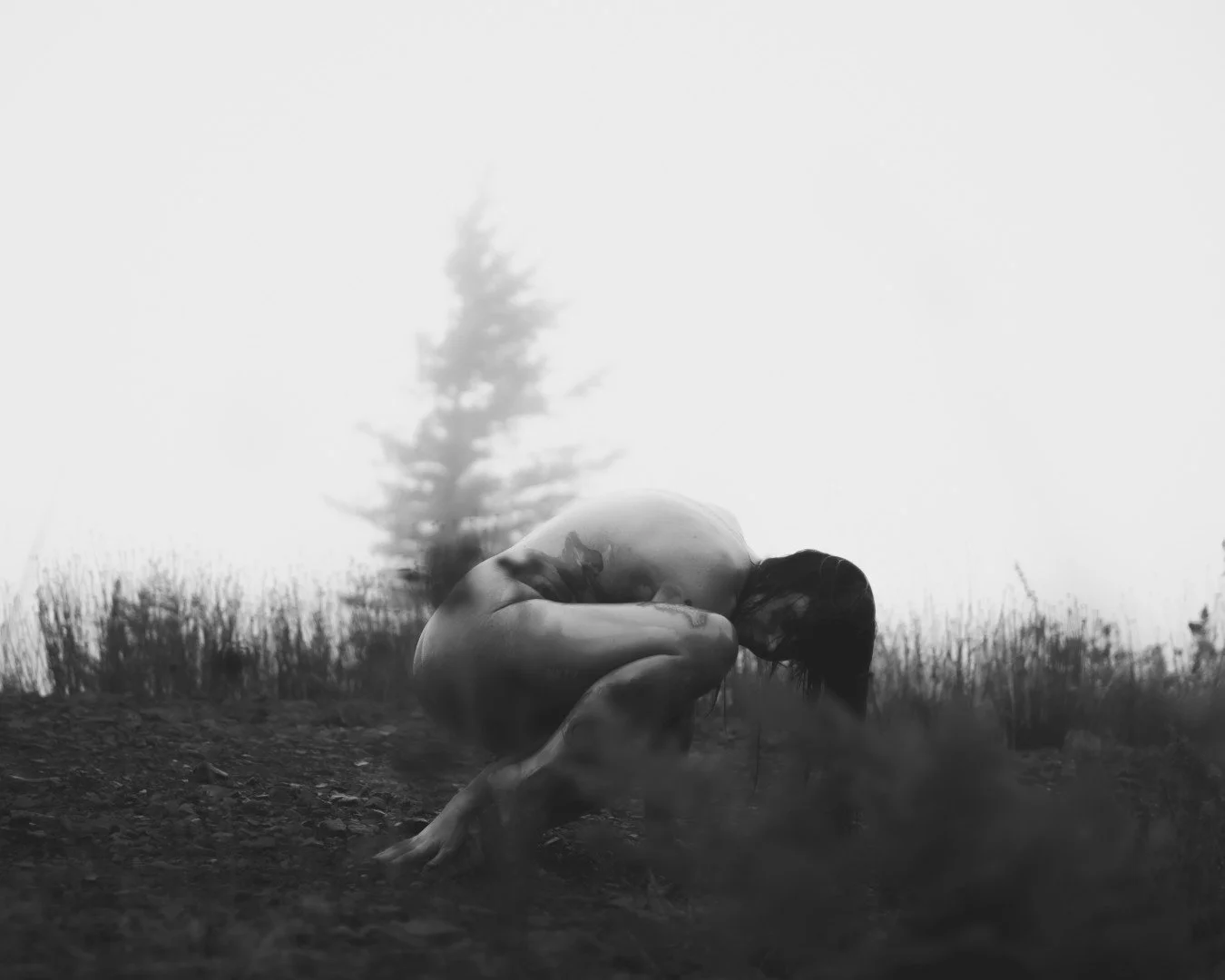 Zander wasp -50 (Large).JPG