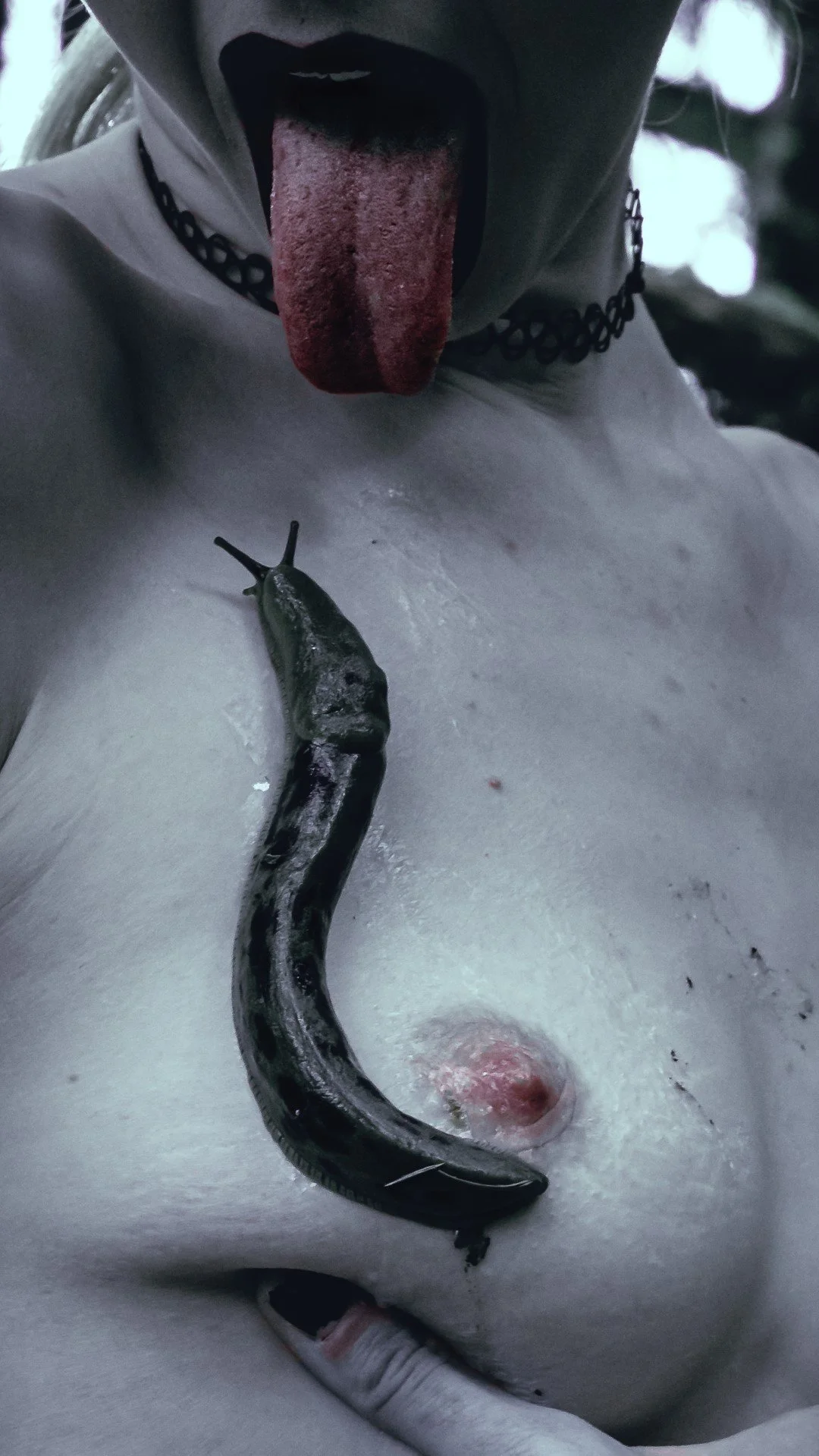 Slug scapes-1 (Large).JPG