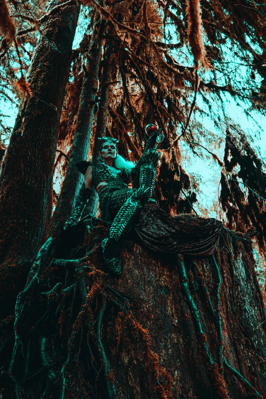 Knight-4 (Large).JPG