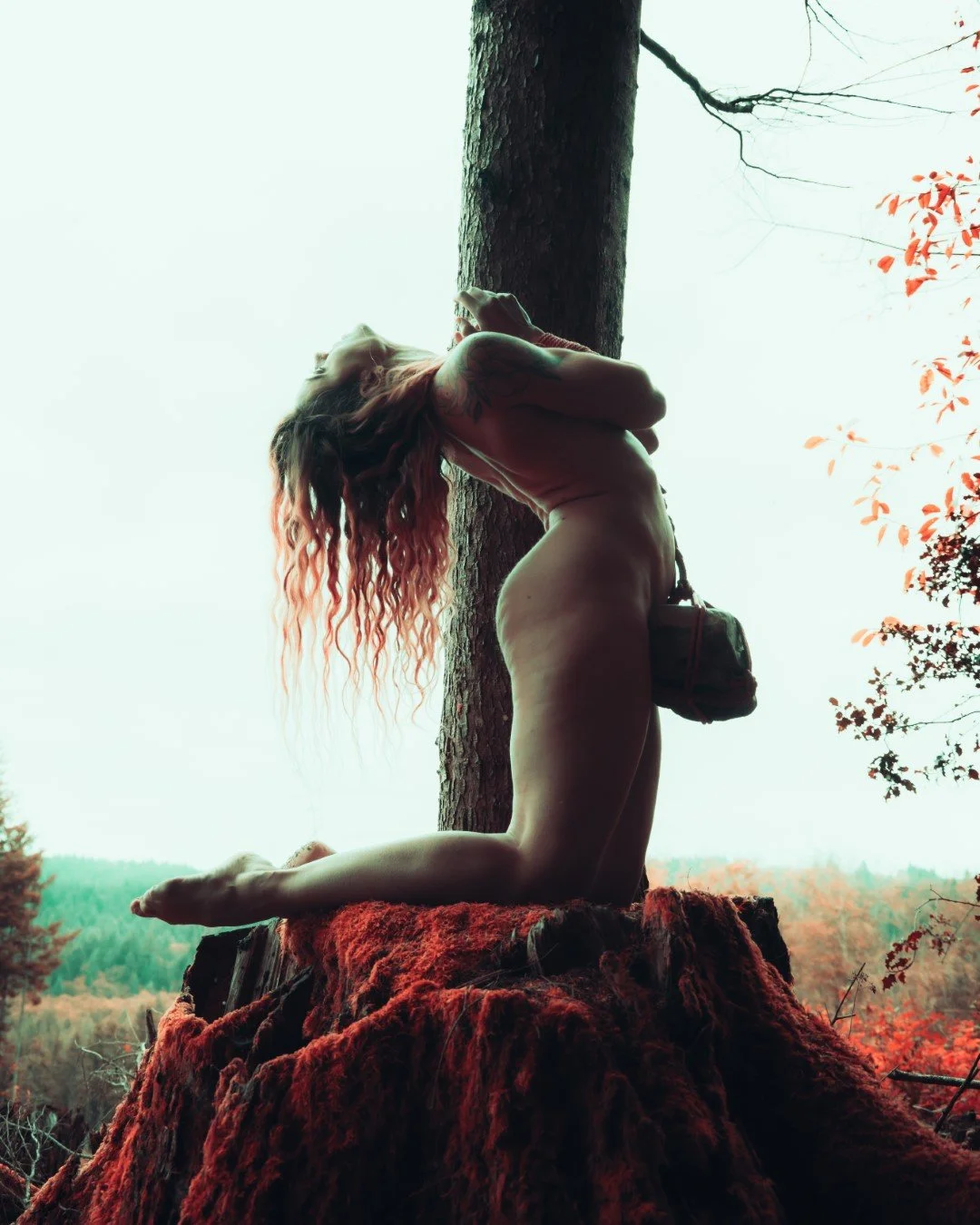 Burdened-60 (Large).JPG