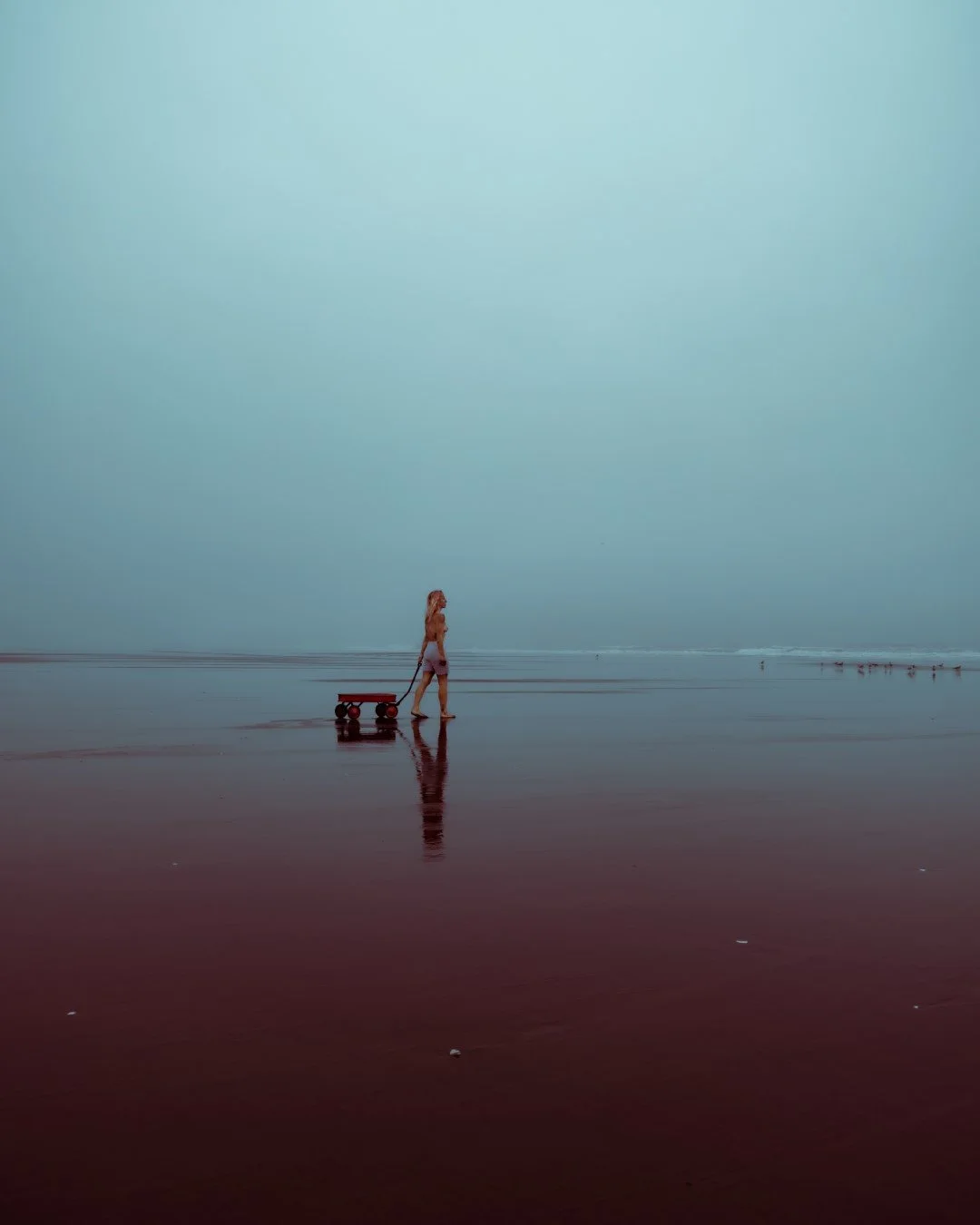 wagon-42 (Large).JPG