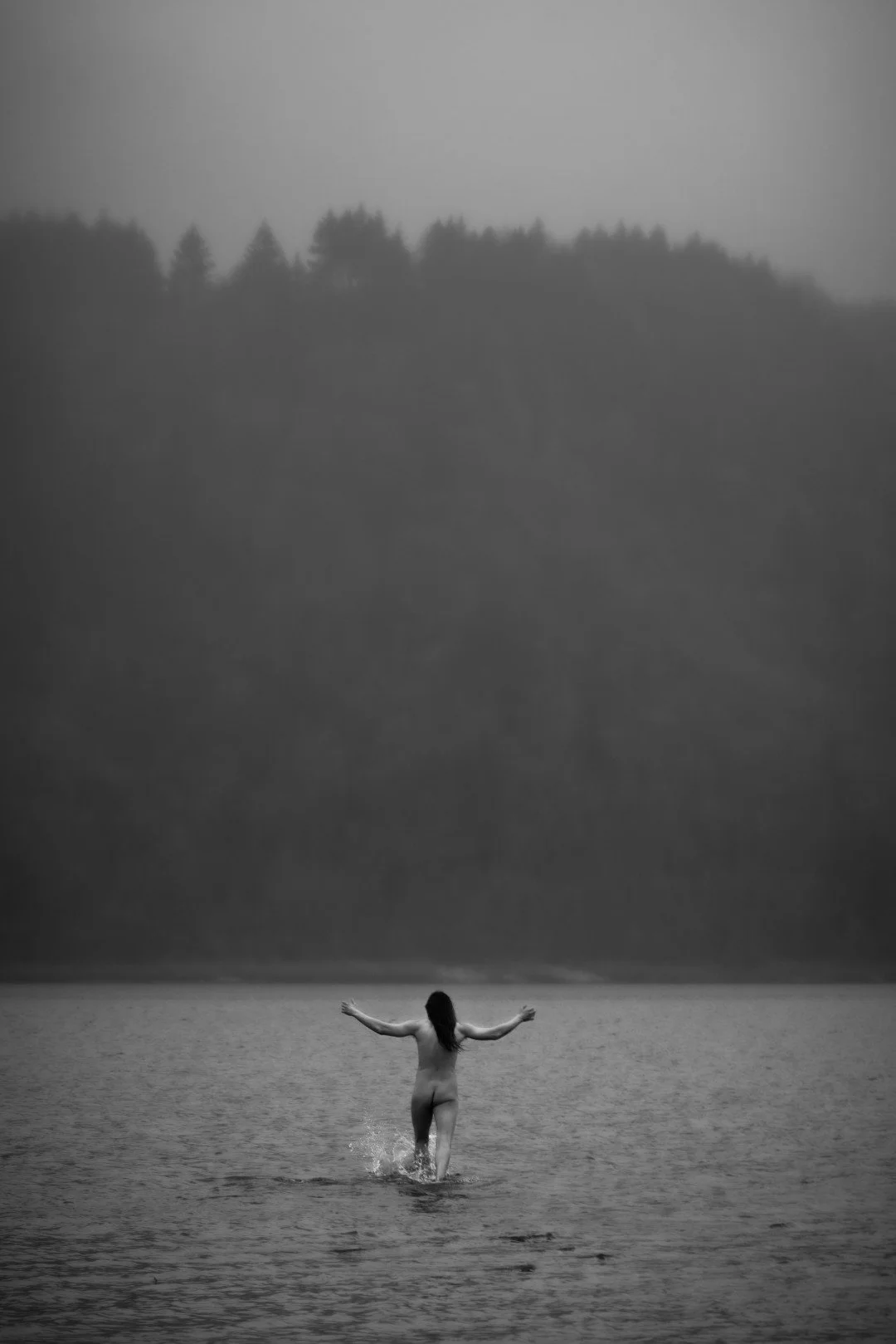 Planted-23 (Large).JPG