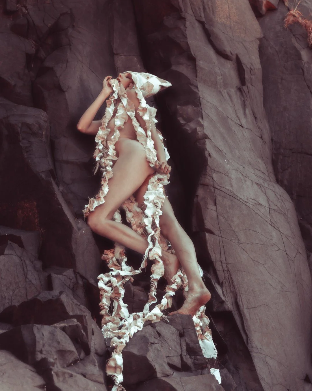 Squid beach-82 (Large).JPG